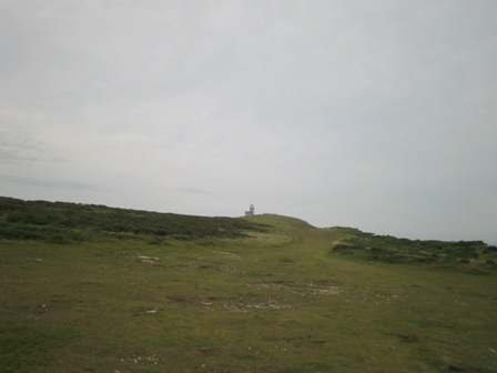 f0141785_5512539.jpg