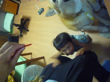 e0123286_17413411.jpg