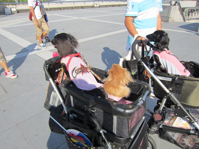 d0098295_0471254.jpg