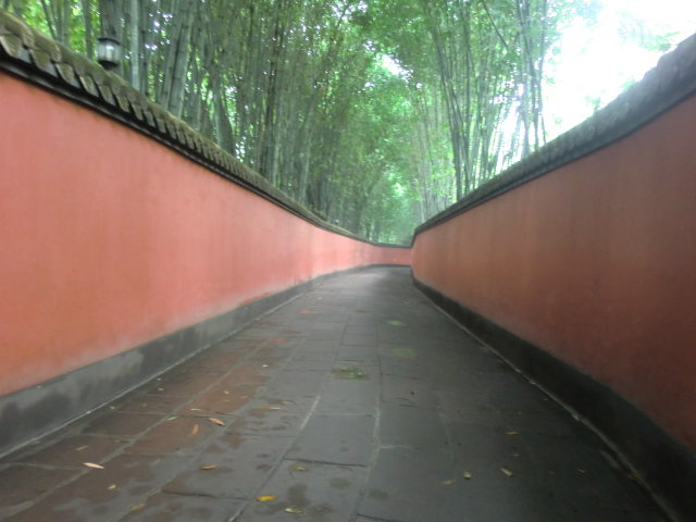 b0044296_1644198.jpg
