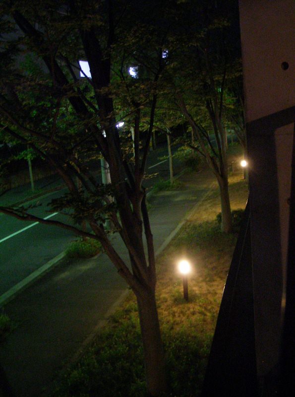 b0212396_20593761.jpg