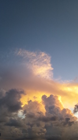 c0193396_21525576.jpg