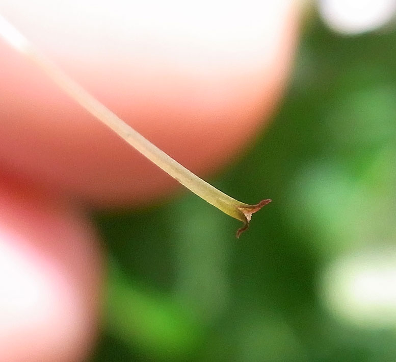d0163696_12283278.jpg
