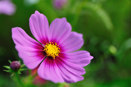 f0201297_7393083.jpg