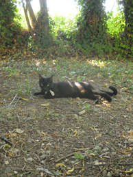 e0206902_6323387.jpg