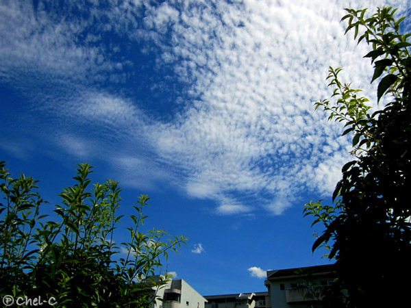 a0154706_23142361.jpg