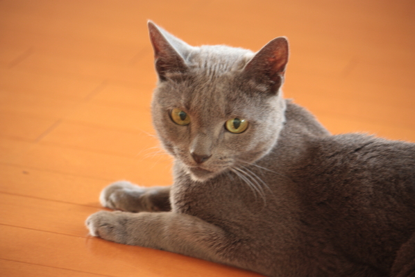 d0001008_8364394.jpg