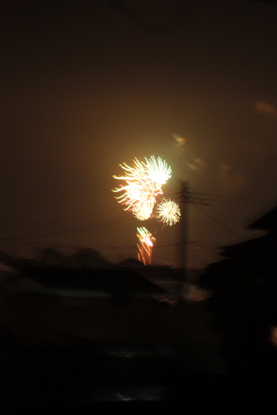 d0001008_8395578.jpg