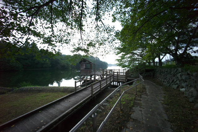 d0143011_21134771.jpg