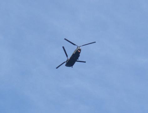 d0072917_20313854.jpg