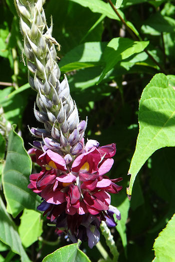 f0007926_10111937.jpg