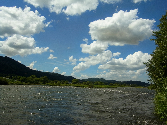 f0103126_2111556.jpg