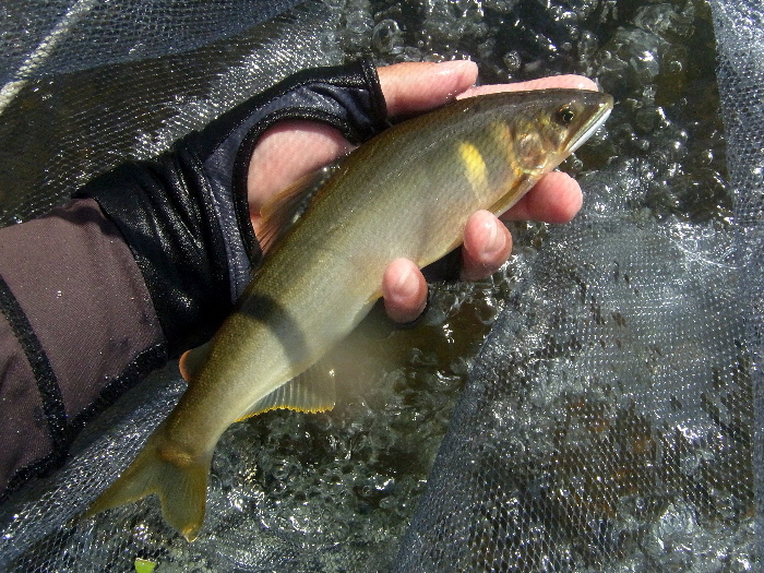 f0103126_2122685.jpg