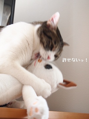 c0134727_0433672.jpg