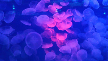 f0217229_2155360.jpg