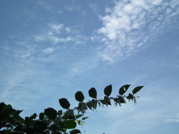f0118332_2239598.jpg