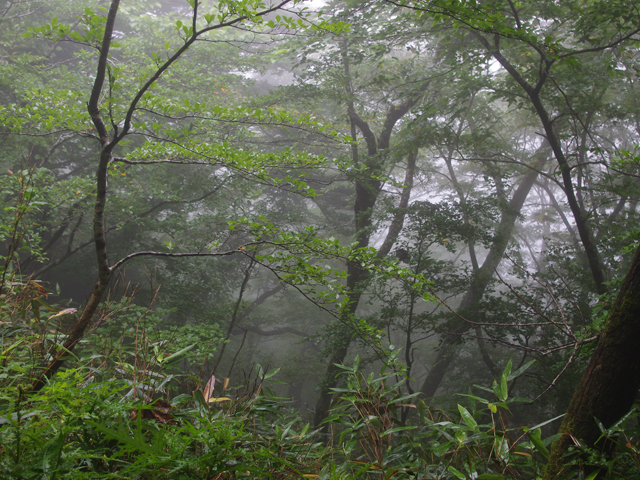 f0008935_047252.jpg