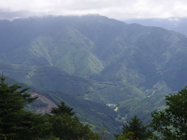 f0008935_057439.jpg