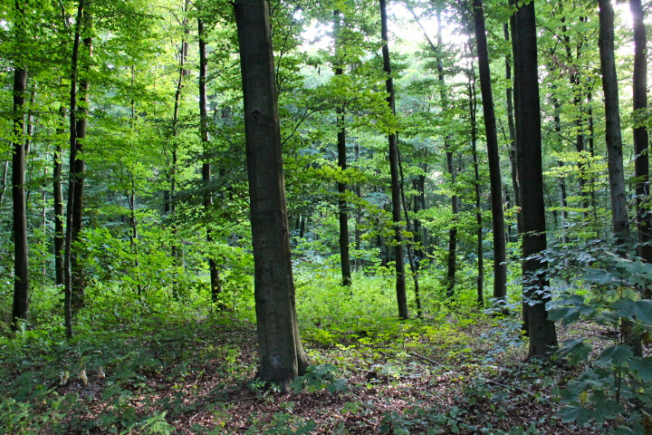 c0153740_310243.jpg