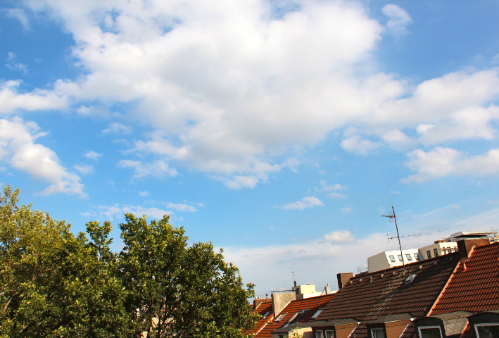 c0153740_311578.jpg