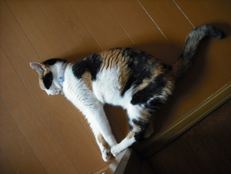c0194042_2184148.jpg