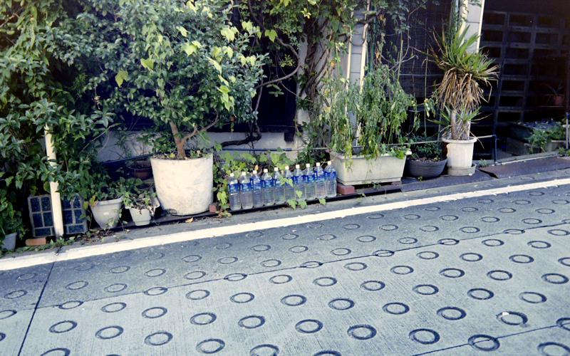 d0089742_0303268.jpg