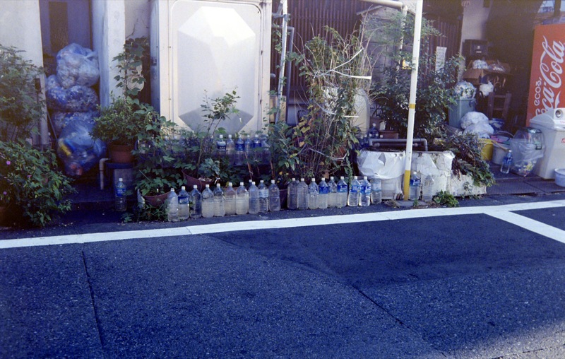 d0089742_031261.jpg
