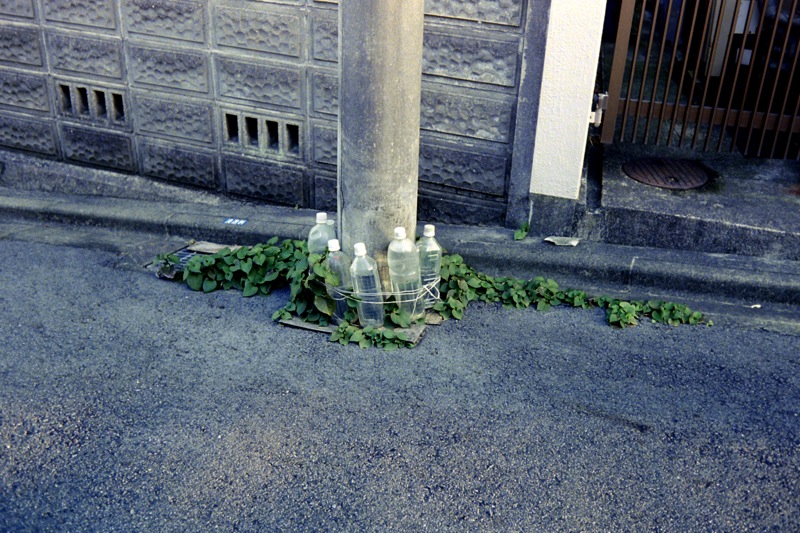 d0089742_0334732.jpg