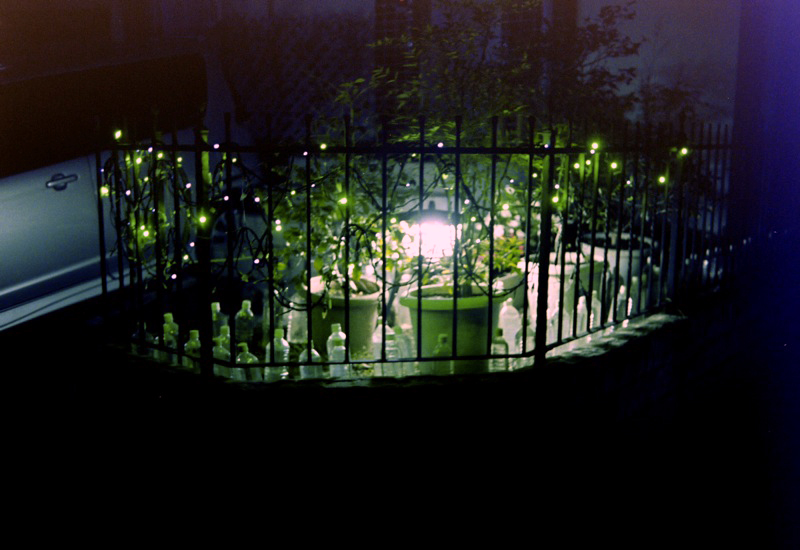d0089742_0341126.jpg