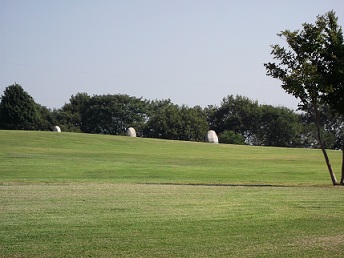 e0248844_22132837.jpg