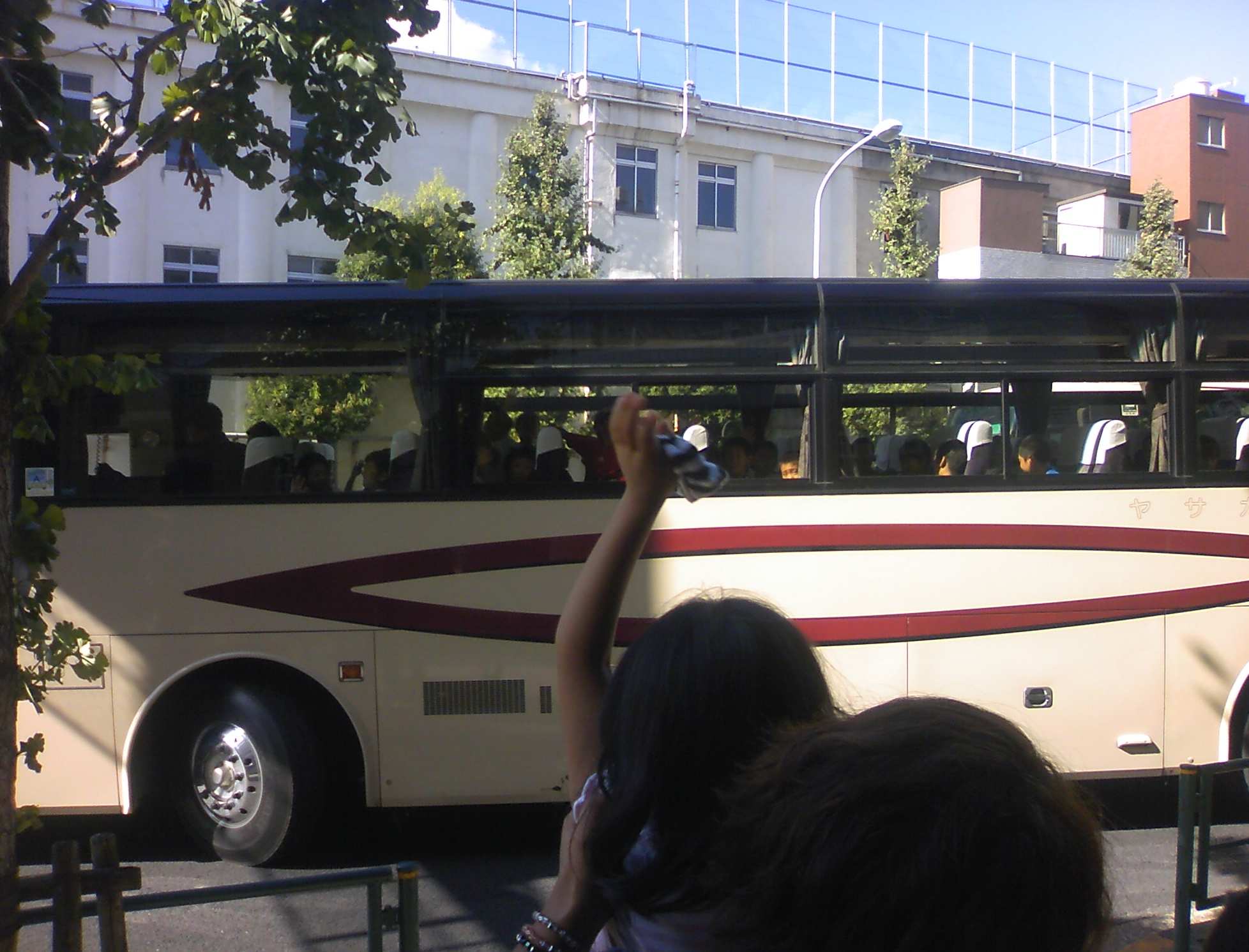 a0119252_95778.jpg