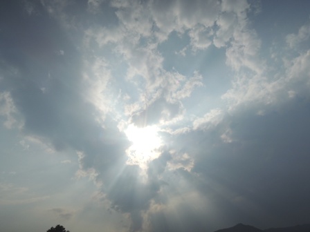 b0173754_1324692.jpg