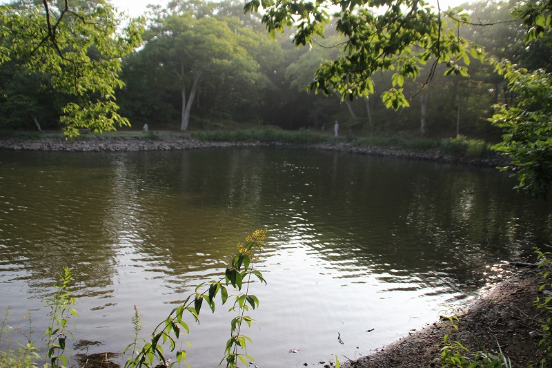 b0250154_2238387.jpg