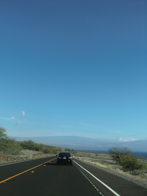 e0033156_441237.jpg