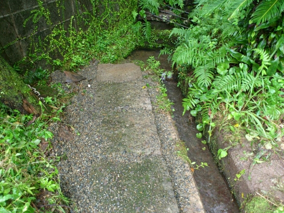 f0063356_1313484.jpg