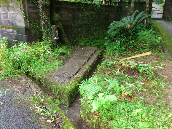 f0063356_13141179.jpg