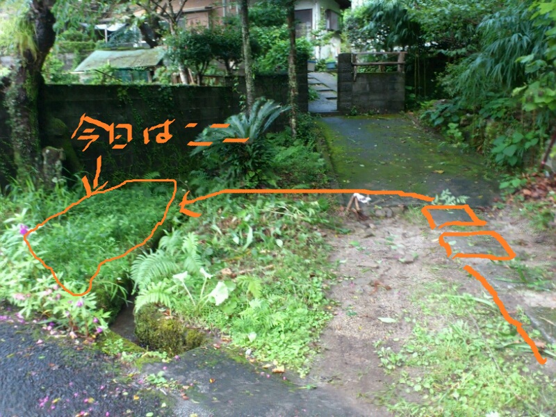 f0063356_13234994.jpg