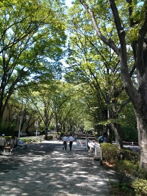 d0271257_1701215.jpg