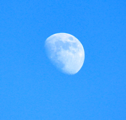 a0248459_1829448.jpg