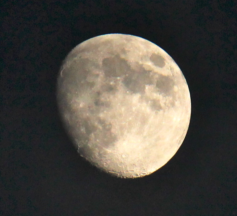 a0248459_18352447.jpg
