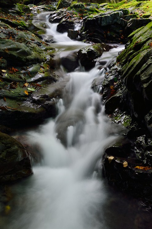 f0222161_21491785.jpg