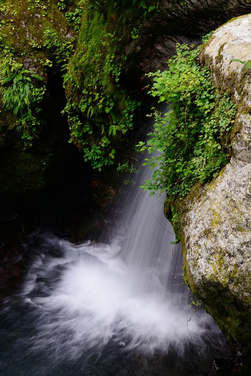 f0222161_21493016.jpg