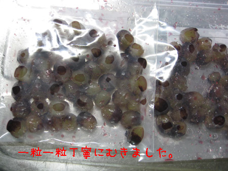 d0050871_1122412.jpg