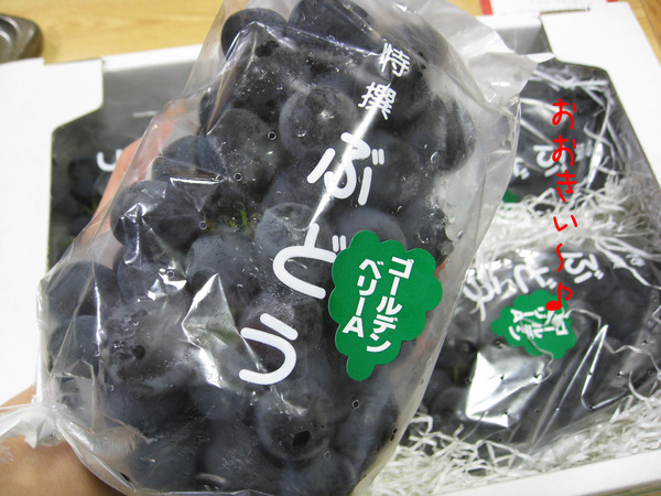 d0050871_1122437.jpg
