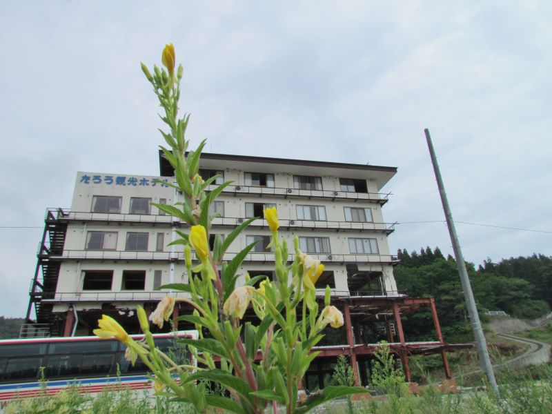 c0183777_443484.jpg