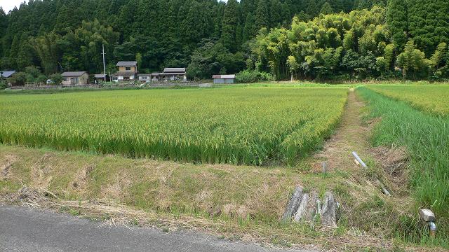 b0042882_14325651.jpg