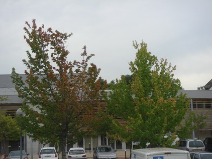 a0247585_044439.jpg