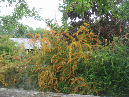 a0247585_0528.jpg