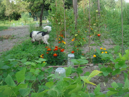 a0247585_23244388.jpg