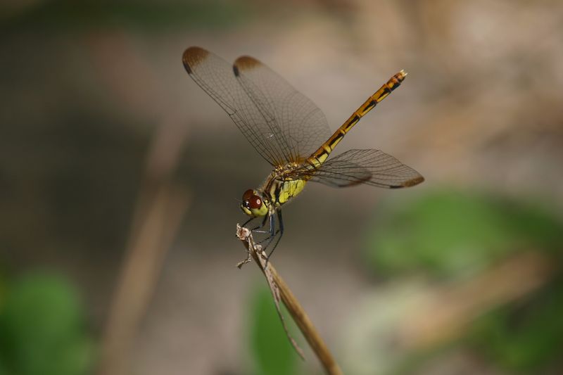 b0108186_12325963.jpg